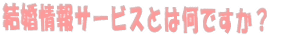 結婚情報サービスとは何ですか？
